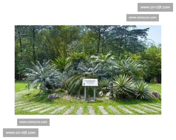 金杯赛非洲独苗:南非 2005 年的跨洋之旅 金杯赛非洲独苗:南非 2005 年的跨洋之旅