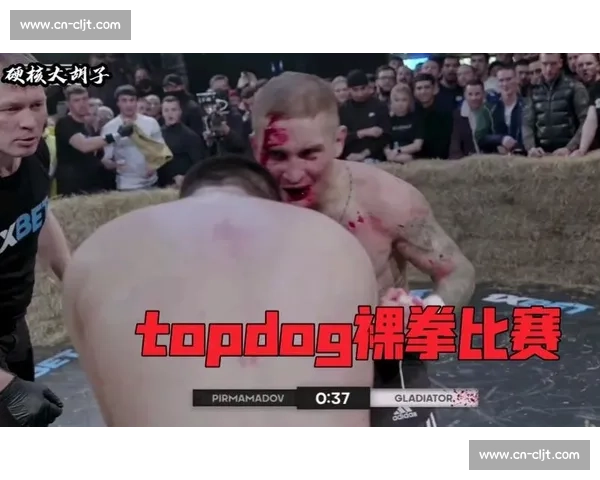震撼!街头裸拳生死对决:暴力美学的极致诠释 震撼!街头裸拳生死对决:暴力美学的极致诠释